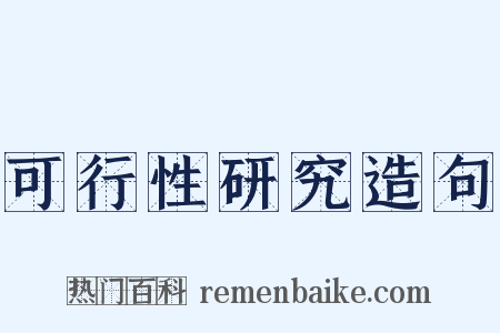 可行性研究造句是什么意思的图片